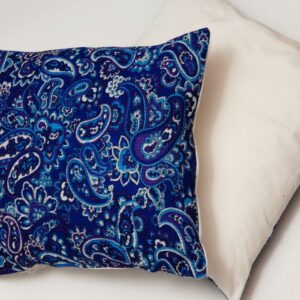 Vintage Paisley Park Cushion