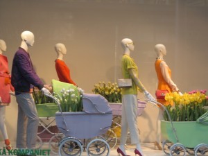 IMG_2576